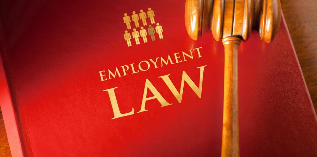 employment and public service law