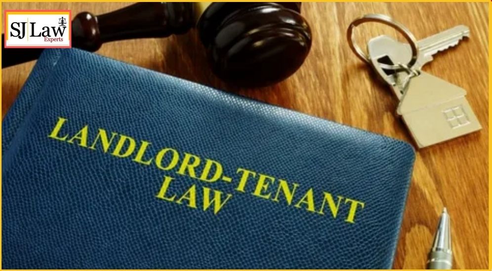 Property dispute lawyer discussing landlord-tenant issues