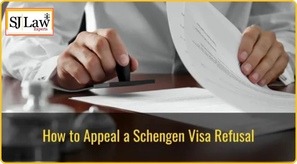 Danish Immigration Service from Pakistan