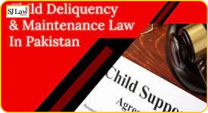 Child Maintenance Pakistan