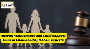 Interim Maintenance and Child Support Laws