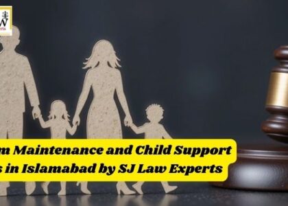 Interim Maintenance and Child Support Laws