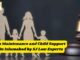Interim Maintenance and Child Support Laws