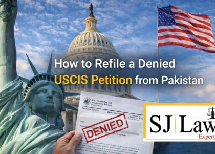 USCIS Petitions