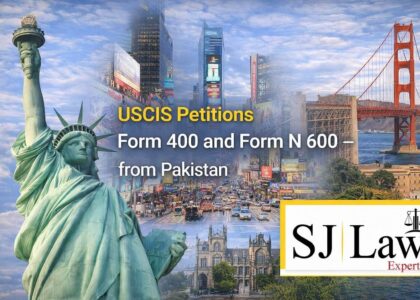 USCIS Petitions